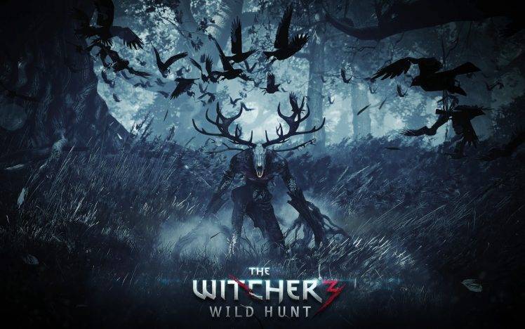 The Witcher, The Witcher 3: Wild Hunt HD Wallpaper Desktop Background