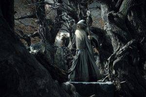 Gandalf, Radagast, The Hobbit: The Desolation Of Smaug, Ian McKellen
