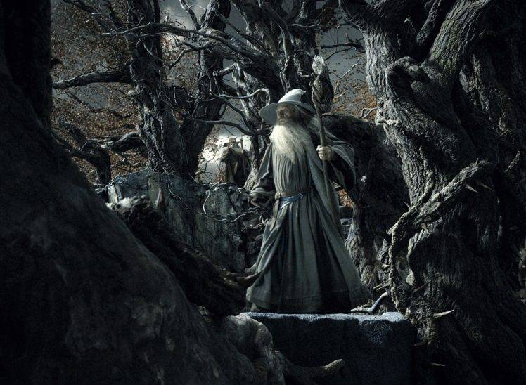 Gandalf, Radagast, The Hobbit: The Desolation Of Smaug, Ian McKellen HD Wallpaper Desktop Background