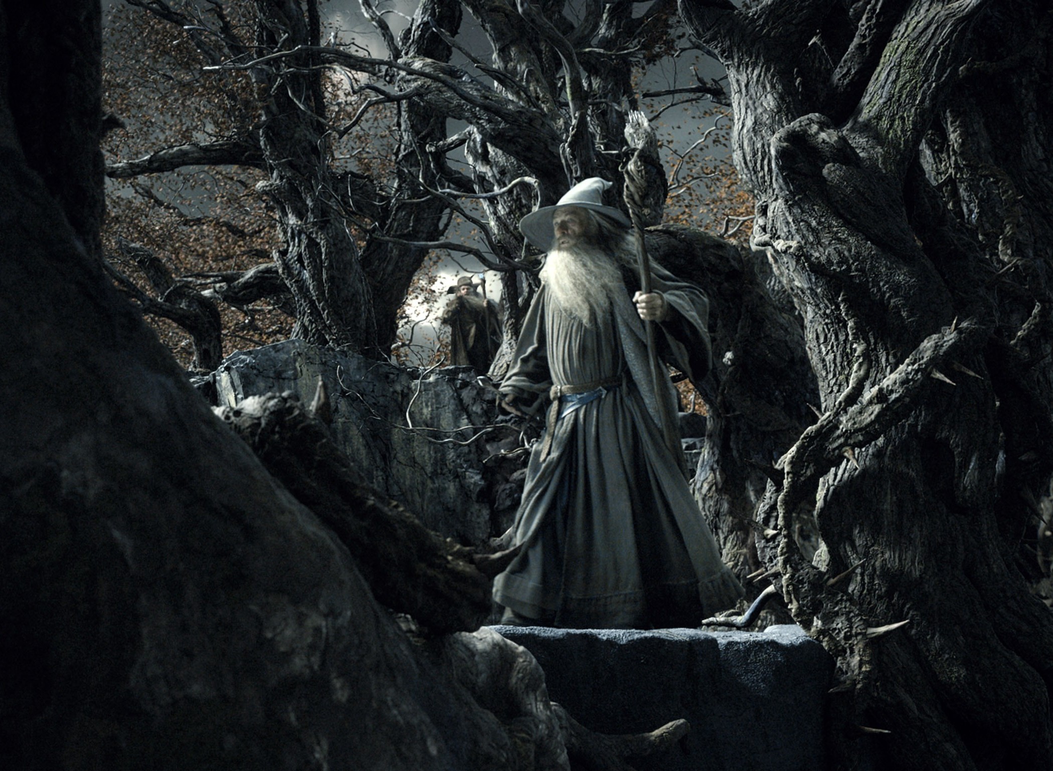 Gandalf, Radagast, The Hobbit: The Desolation Of Smaug, Ian McKellen Wallpaper