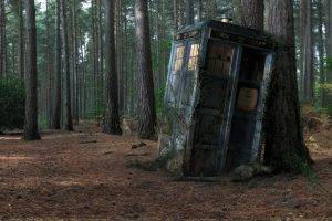 Doctor Who, TARDIS, Wood, Decay
