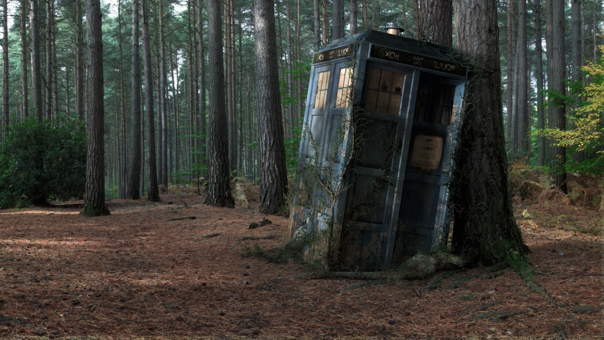 Doctor Who, TARDIS, Wood, Decay Wallpaper
