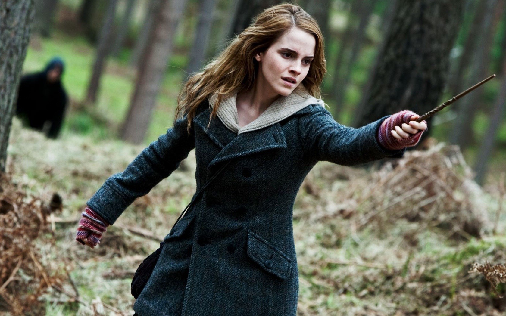 Emma Watson, Hermione Granger, Harry Potter And The Deathly Hallows Wallpaper
