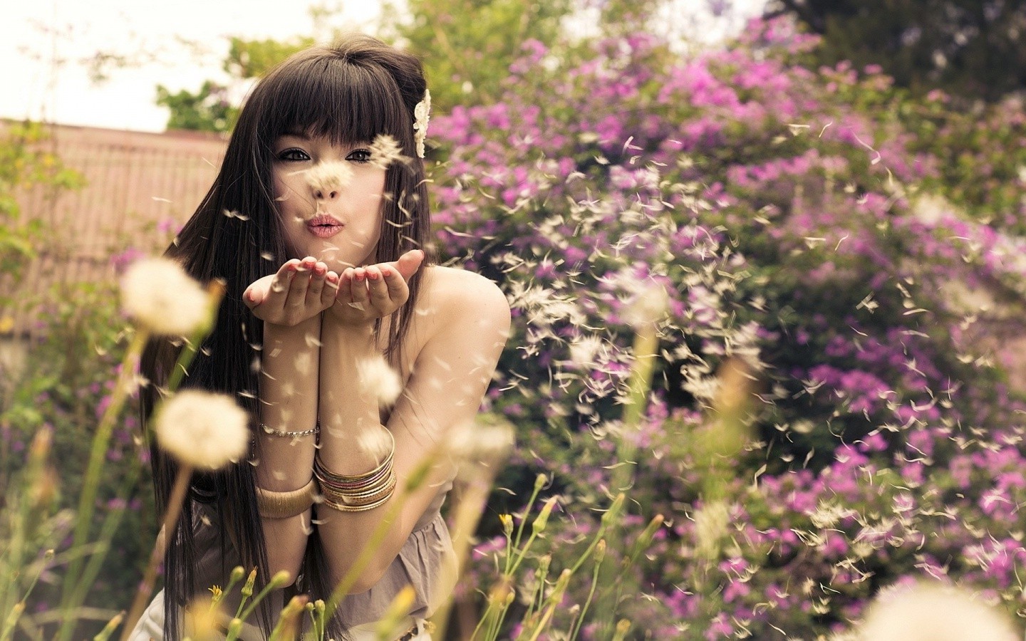 women Outdoors, Asian, Dandelion, Long Hair, Brunette, Bangles Wallpaper
