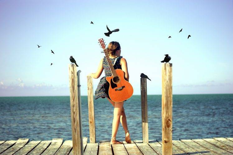 sea, Guitar, Sky, Birds HD Wallpaper Desktop Background