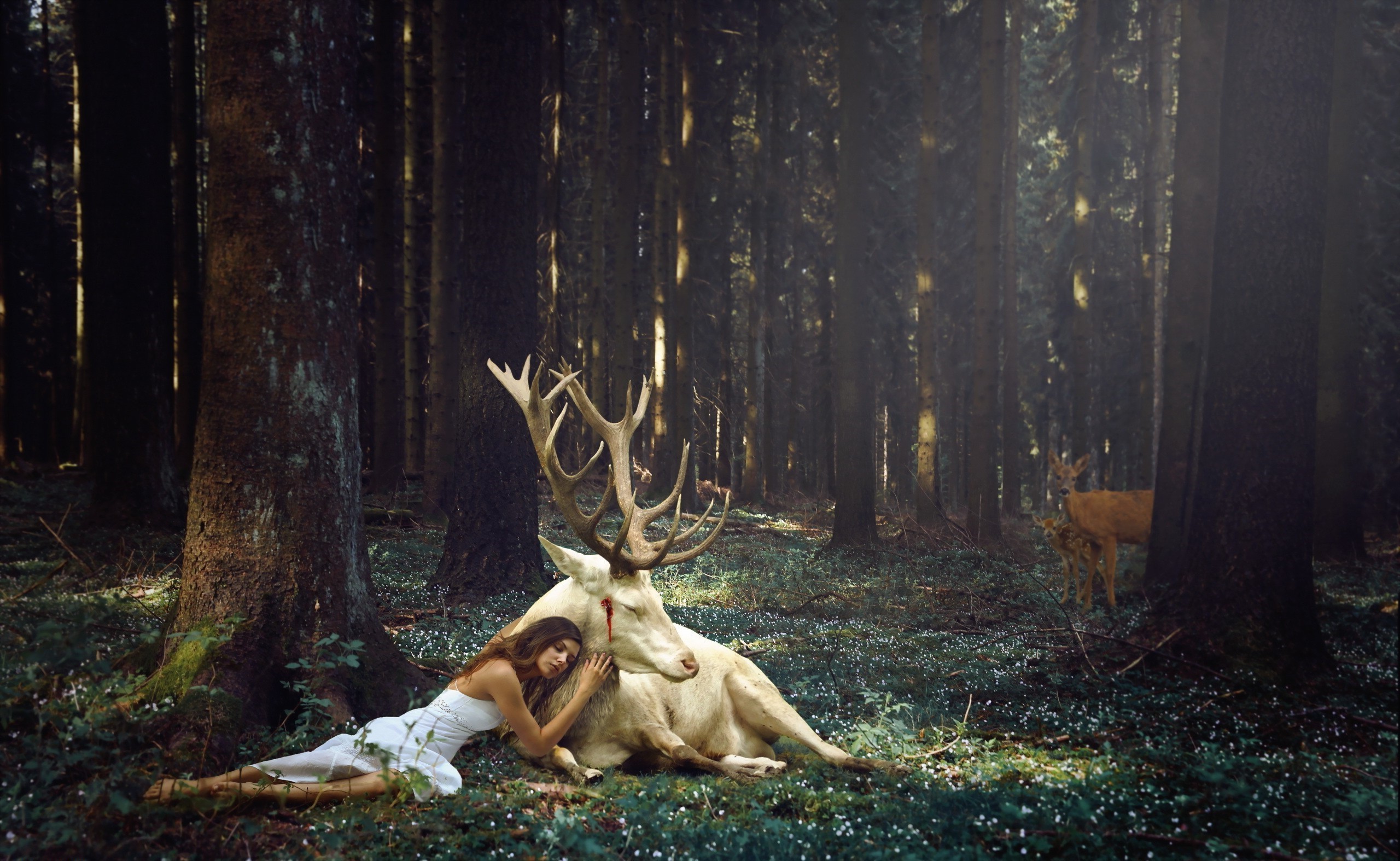 fantasy Art, Forest, Reindeer, Women, Dress, Raindeer Wallpaper