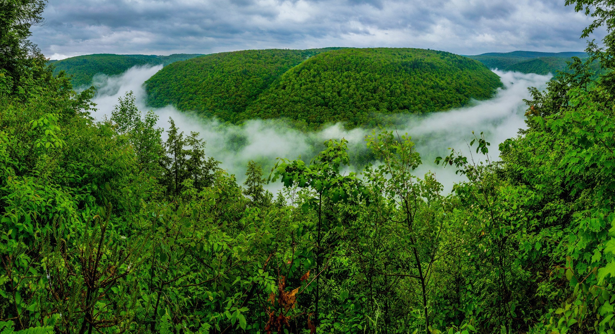 landscape Wallpaper