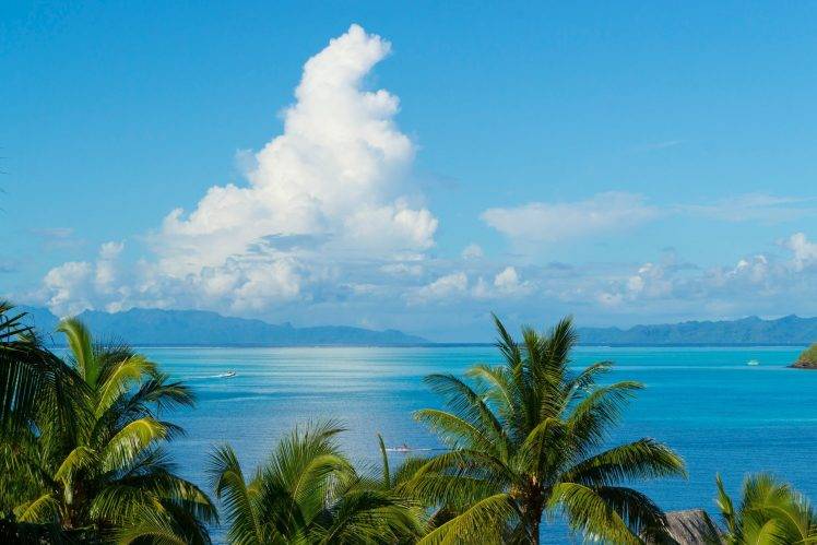 landscape, Clouds, Tropical, Palm Trees HD Wallpaper Desktop Background