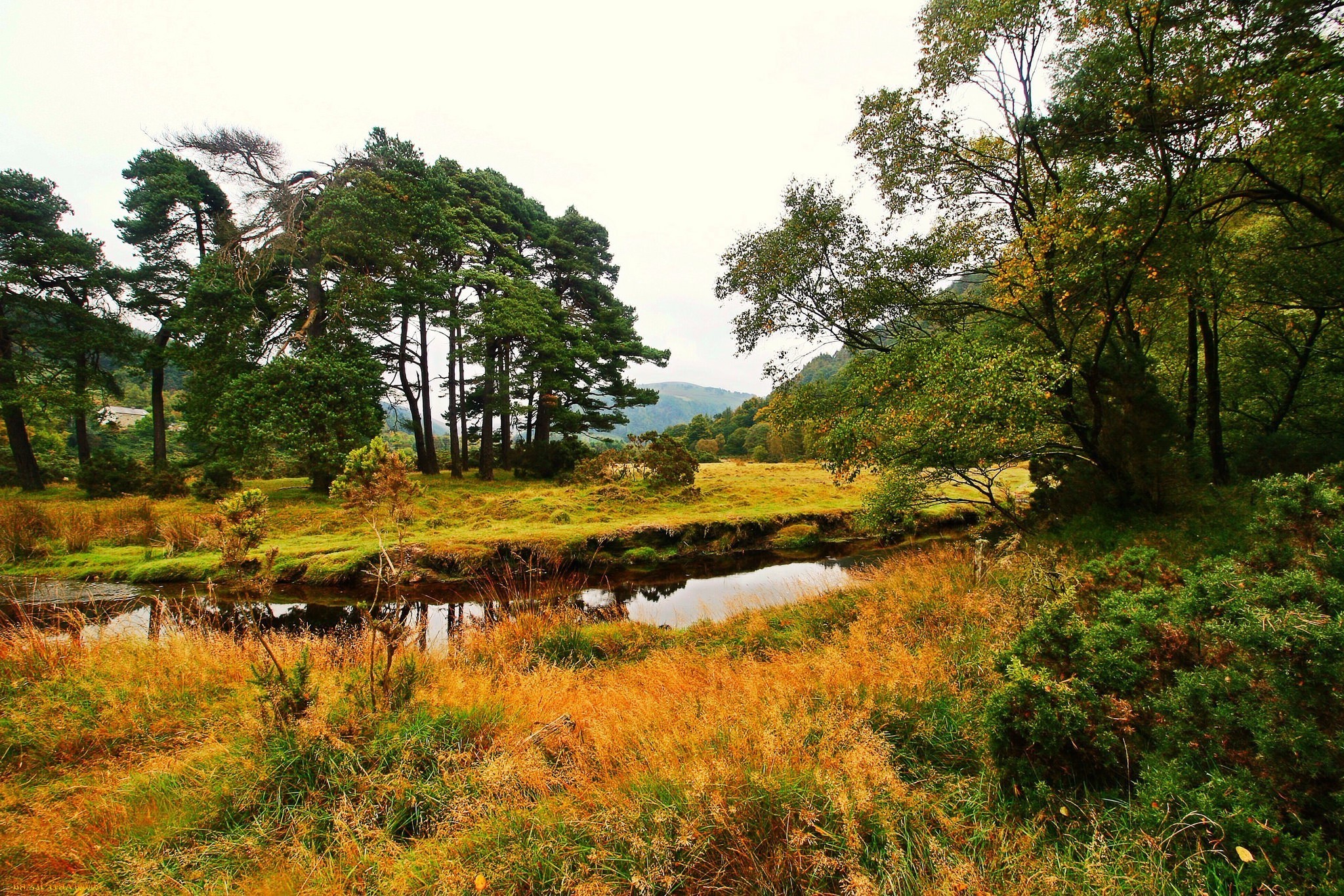 landscape Wallpaper