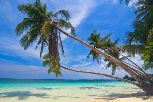 photography, Nature, Landscape, Palm Trees, White, Sand, Beach, Tropical, Sea, Summer, Island, Philippines