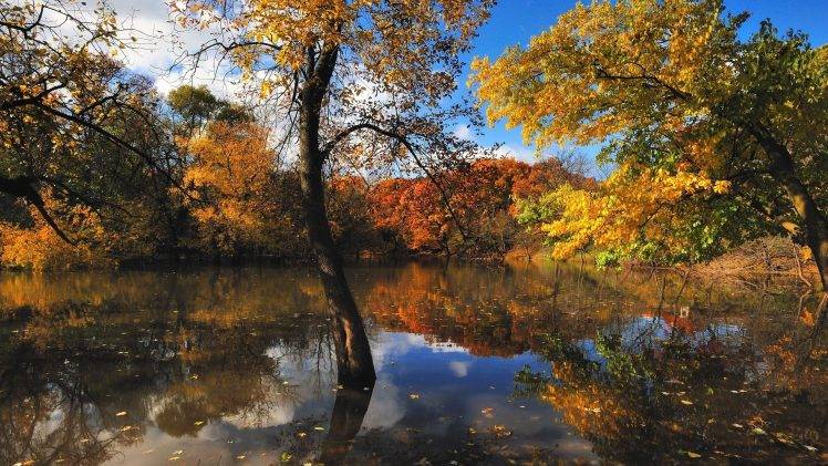 nature, Lake, Fall, Water, Trees, Clouds, Landscape, Plants HD Wallpaper Desktop Background