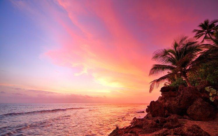 tropical, Plants, Landscape, Beach, Sea HD Wallpaper Desktop Background