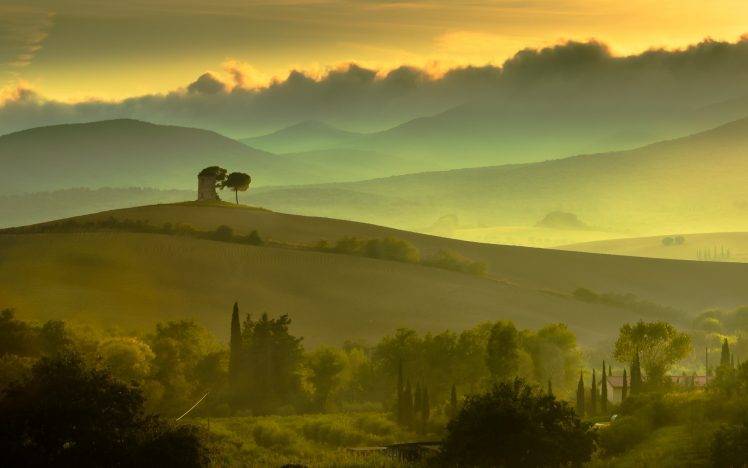 nature, Landscape, Trees, Hills, Mist HD Wallpaper Desktop Background