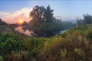 nature, Photography, Landscape, River, Morning, Sunlight, Trees, Shrubs, Mist