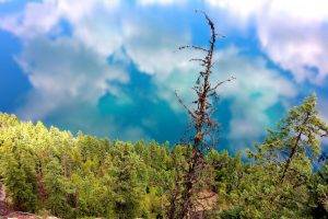 landscape, Lake, Trees, Sky, Clouds, Nature