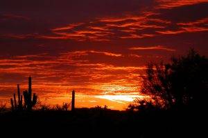 Arizona, Landscape, Sunset, Nature