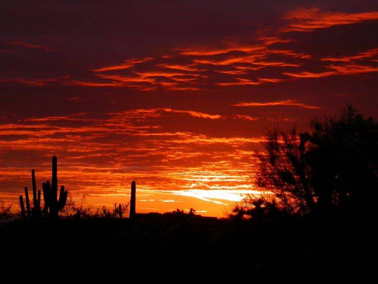 Arizona, Landscape, Sunset, Nature HD Wallpaper Desktop Background