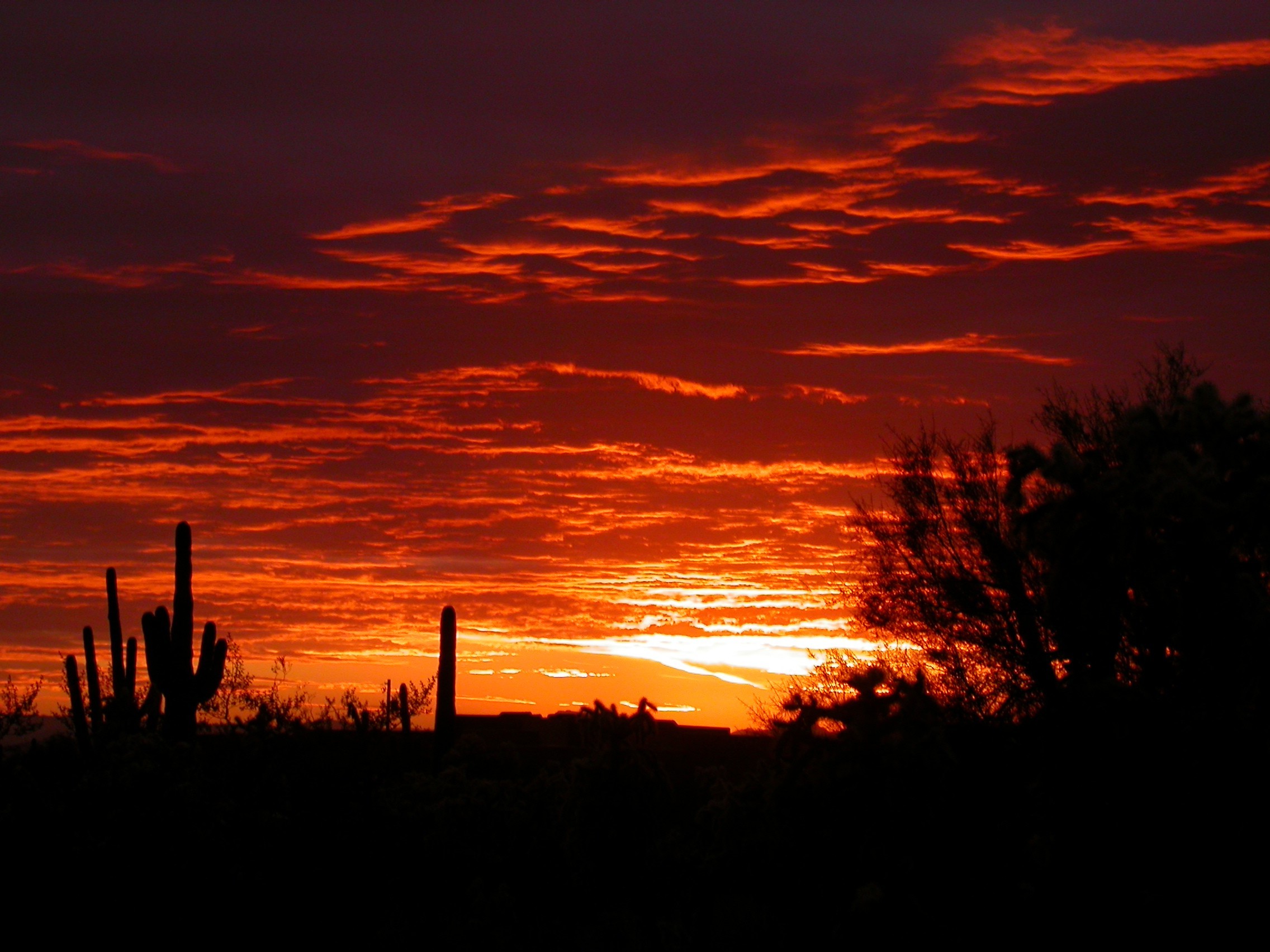 Arizona, Landscape, Sunset, Nature Wallpaper