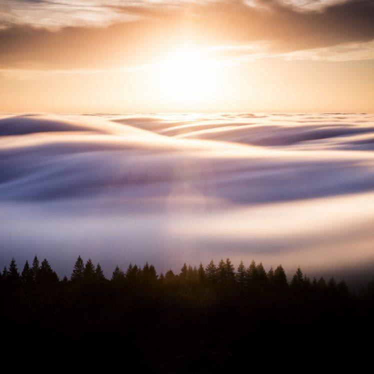 photography, Clouds, Trees, Spruce, Sun, Sun Rays, Landscape HD Wallpaper Desktop Background