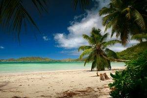 landscape, Photography, Nature, Beach, Palm Trees, Sand, Sea, Hills, Blue, Sky, Tropical, Summer, Island, Seychelles