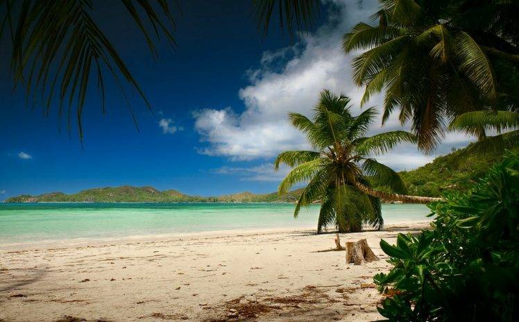 landscape, Photography, Nature, Beach, Palm Trees, Sand, Sea, Hills, Blue, Sky, Tropical, Summer, Island, Seychelles HD Wallpaper Desktop Background