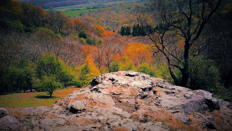 stone, Nature, Trees, Landscape HD Wallpaper Desktop Background