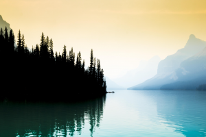 lake, Landscape, Mist, Mountains, Pine Trees, Boat, Alberta, Lake Maligne