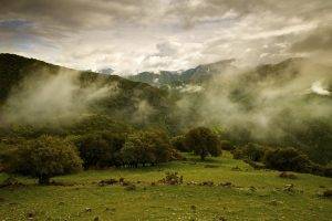 photography, Landscape, Nature, Trees, Mist, Mountains