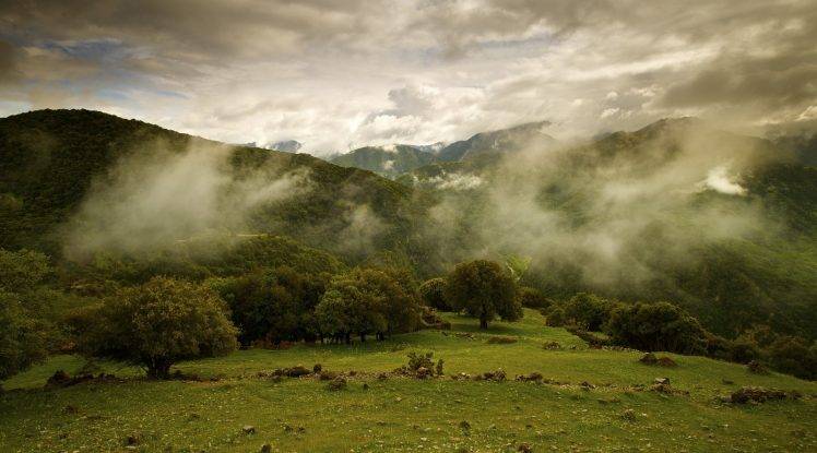 photography, Landscape, Nature, Trees, Mist, Mountains HD Wallpaper Desktop Background