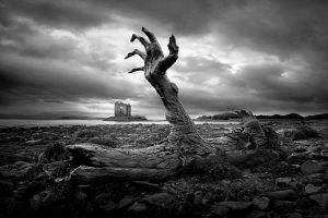 wood, Monochrome, Landscape, Clouds, Stones, Castle, Scotland