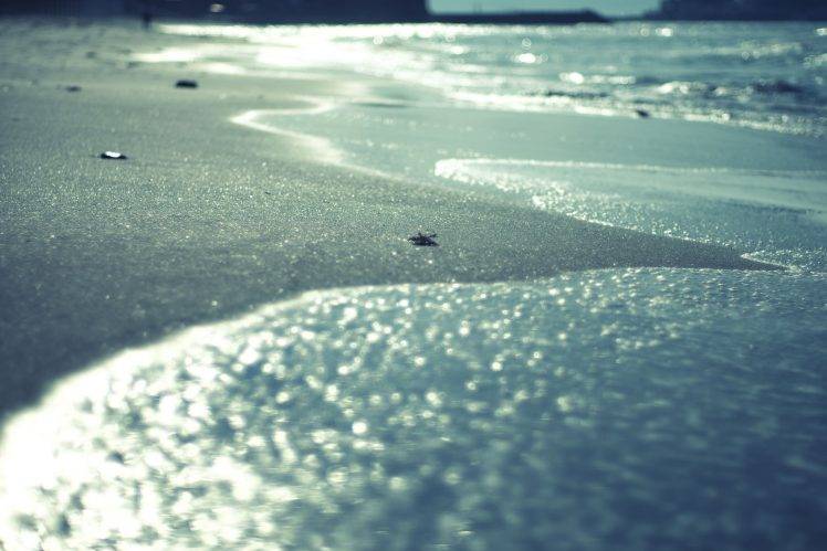 photography, Landscape, Beach, Waves, Water, Rocks, Sand, Bokeh HD Wallpaper Desktop Background