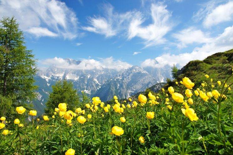 photography, Nature, Landscape, Summer, Wildflowers, Mountains, Clouds, Green, Yellow, Trees, Alps, Italy HD Wallpaper Desktop Background