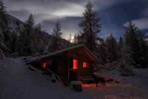 photography, Landscape, Nature, Winter, Cabin, Snow, Moonlight, Dog, Forest, Mountains, Pine Trees, Switzerland
