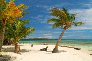 photography, Landscape, Nature, Island, Tropical, Palm Trees, Beach, White, Sand, Sea, Summer, Mexico