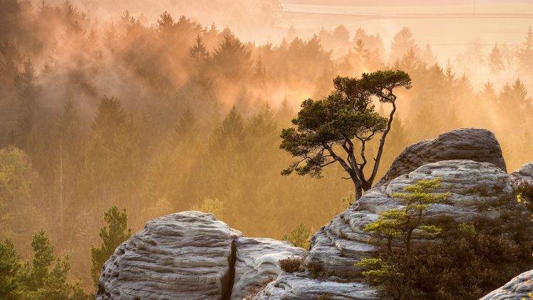 nature, Landscape, Mountains, Trees, Rock, Mist, Forest, Sunset, Sun Rays HD Wallpaper Desktop Background