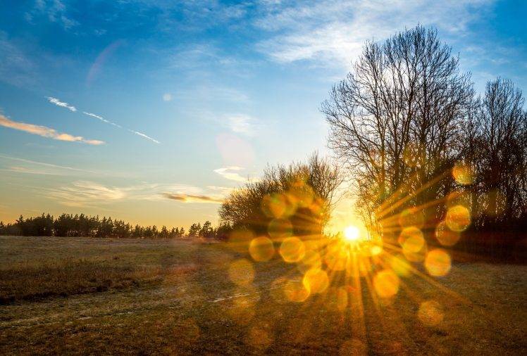 sunlight, Nature, Sun, Landscape, Trees, Clouds Wallpapers HD / Desktop and  Mobile Backgrounds
