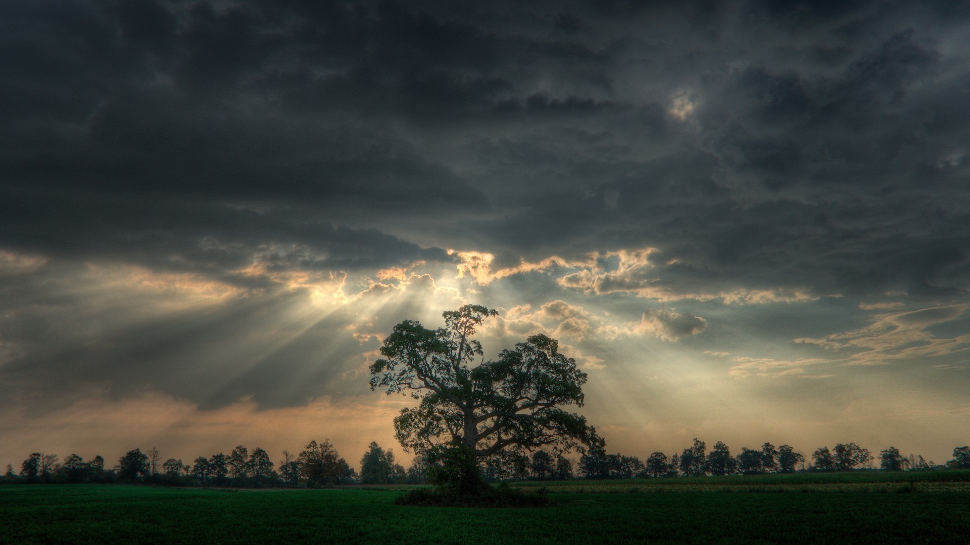 nature, Landscape, Trees, Clouds, Field, Sun Rays, Forest, Grass
