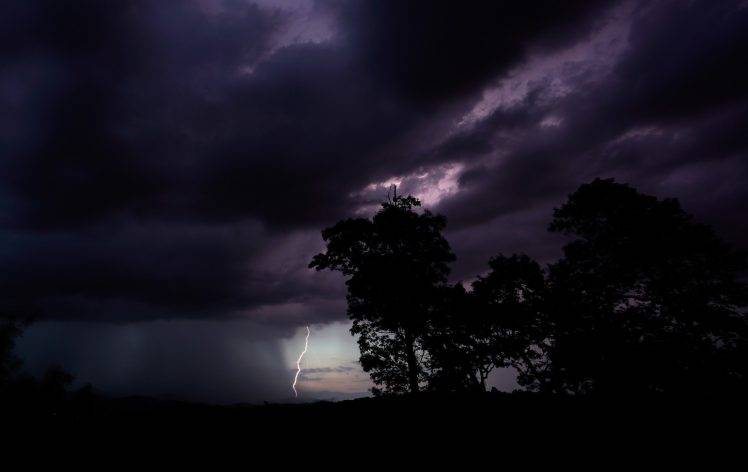 landscape, Night, Trees, Clouds, Rain, Storm, Lightning HD Wallpaper Desktop Background