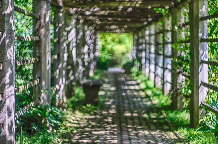 landscape, Bokeh, Plants, Path, Gates HD Wallpaper Desktop Background