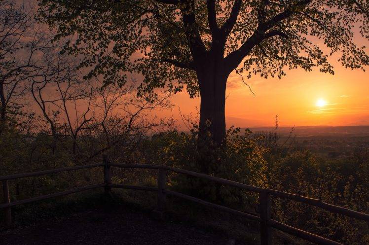 landscape, Evening, Trees, Alone, Fence, Sunlight, Sun HD Wallpaper Desktop Background