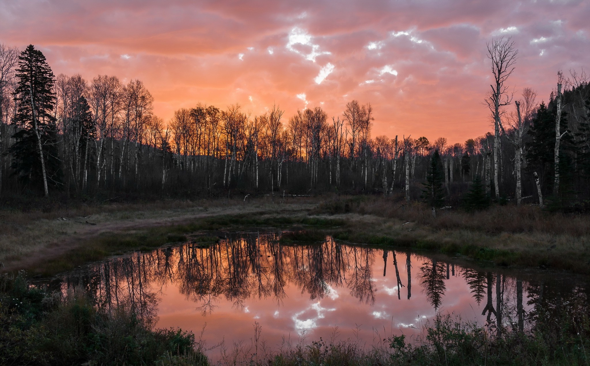 landscape, Clouds, Lake, Forest, Nature Wallpaper