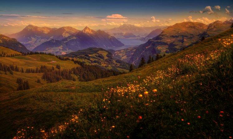landscape, Nature HD Wallpaper Desktop Background