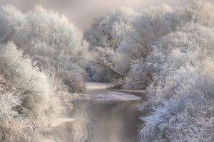landscape, Photography, Nature, River, Forest, Winter, Frost, Snow, Trees, Cold, White, Transylvania, Romania