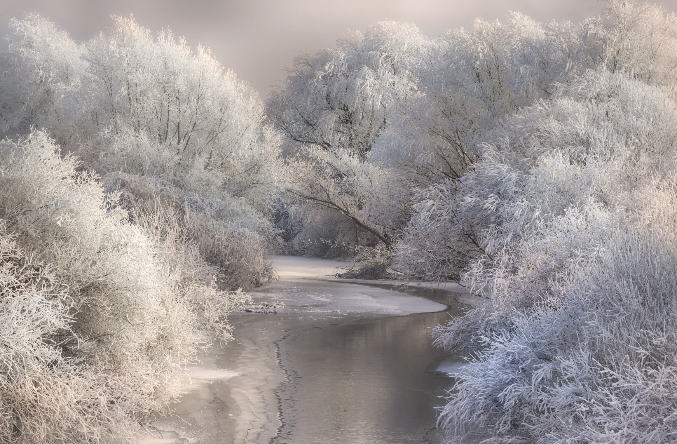 landscape, Photography, Nature, River, Forest, Winter, Frost, Snow