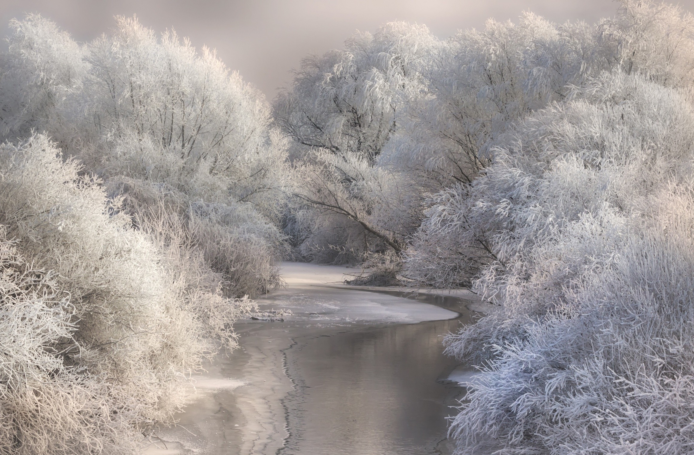 landscape, Photography, Nature, River, Forest, Winter, Frost, Snow, Trees, Cold, White, Transylvania, Romania Wallpaper