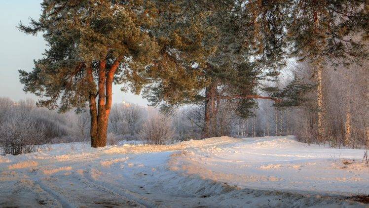 landscape, Photography, Nature, Morning, Road, Trees, Snow, Winter, Shrubs, Sunlight, Russia HD Wallpaper Desktop Background