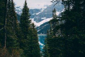 nature, Forest, Water, Mountains, Landscape, Trees