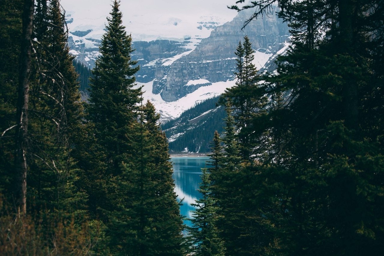 nature, Forest, Water, Mountains, Landscape, Trees Wallpaper