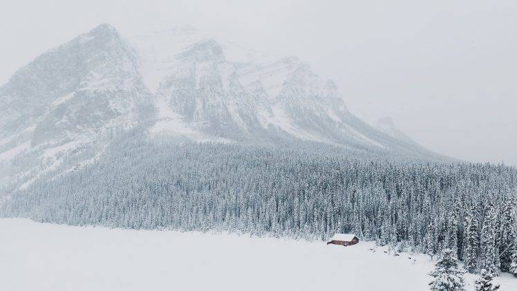 nature, Mountains, Winter, Snow, Landscape, Forest HD Wallpaper Desktop Background