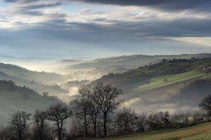 nature, Landscape, Clouds, Trees, Forest, Morning, Mist, Hills, Valley, House